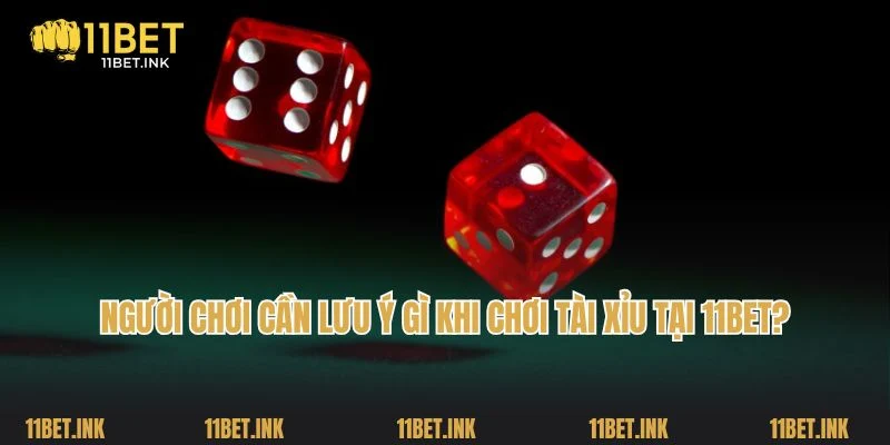 Người chơi cần lưu ý gì khi chơi tài xỉu tại 11Bet?